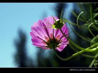 _IGP9497