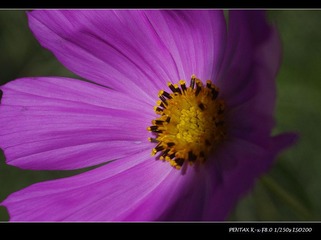 _IGP9499