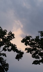 5CD64426-0E4F-4F74-BFBF-21E0922AD8E0/L0/001