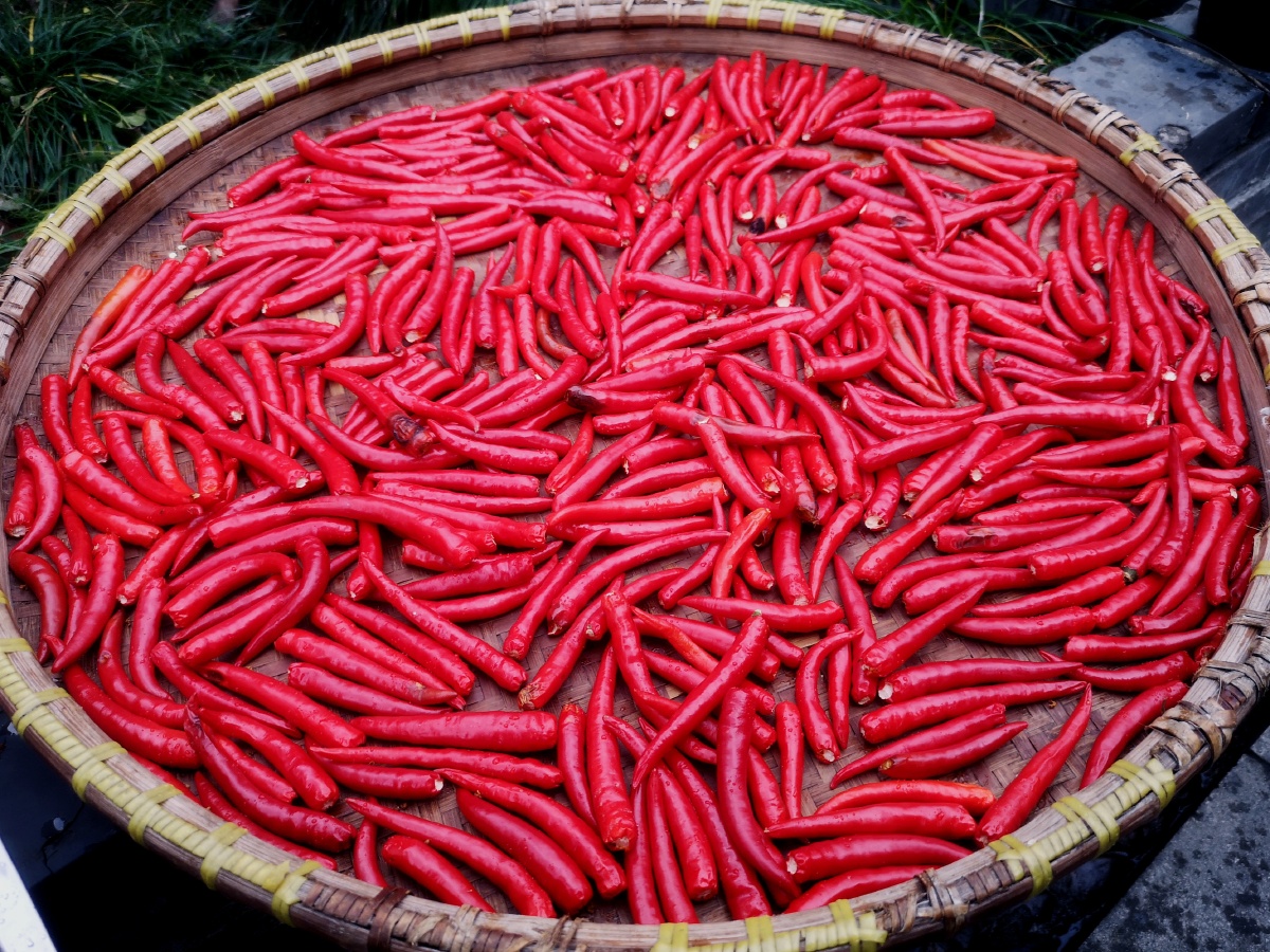 晒辣椒