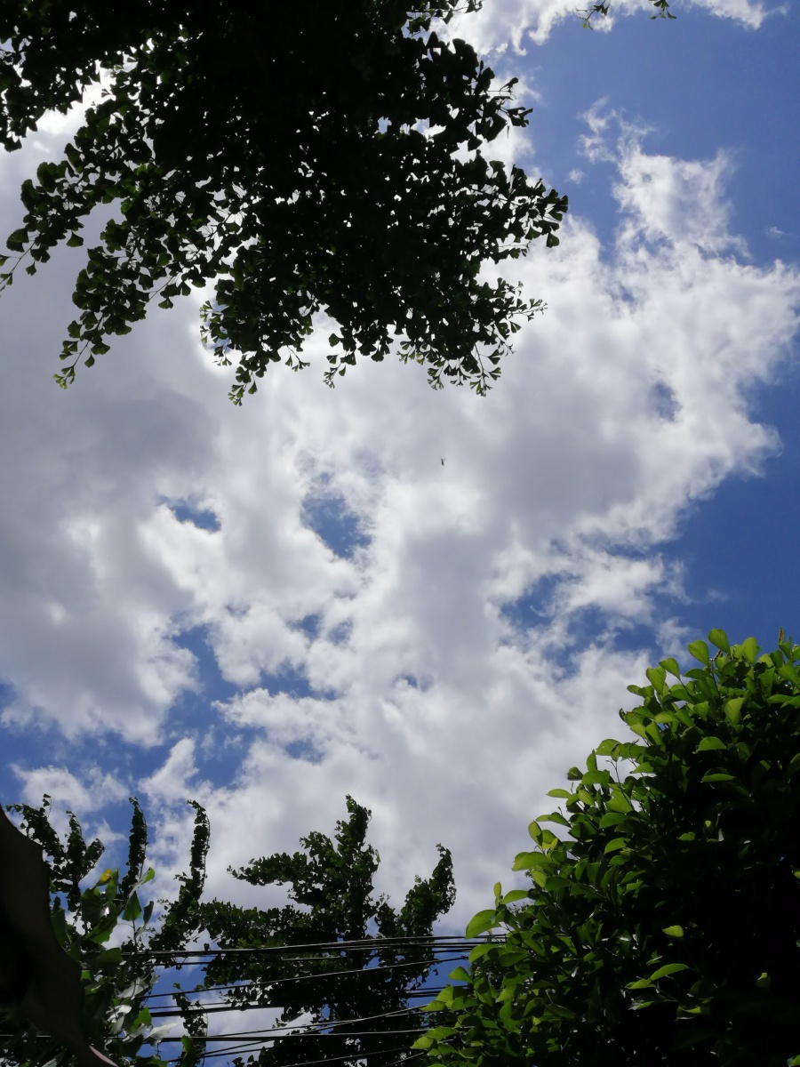 不要总是忙于工作和学习静下来看看天空