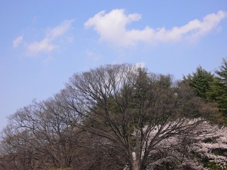 P1010154