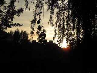 24F97055-CEDD-451B-8D7D-10B1C000AA78/L0/001