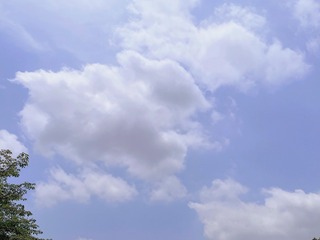 43D1E11C-04F6-4326-9653-61B81551B87C/L0/001