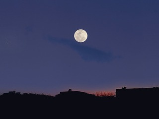 290607