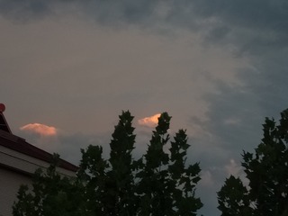 52837