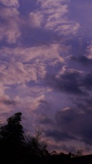 9D8BF726-ED56-40F1-98EB-B546298FD073/L0/001