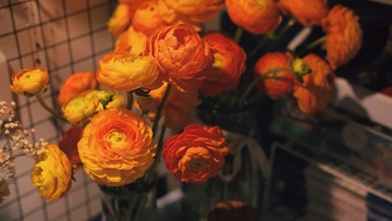 A4D7DAFF-1948-4C00-B8DE-B5C8FB006589/L0/001