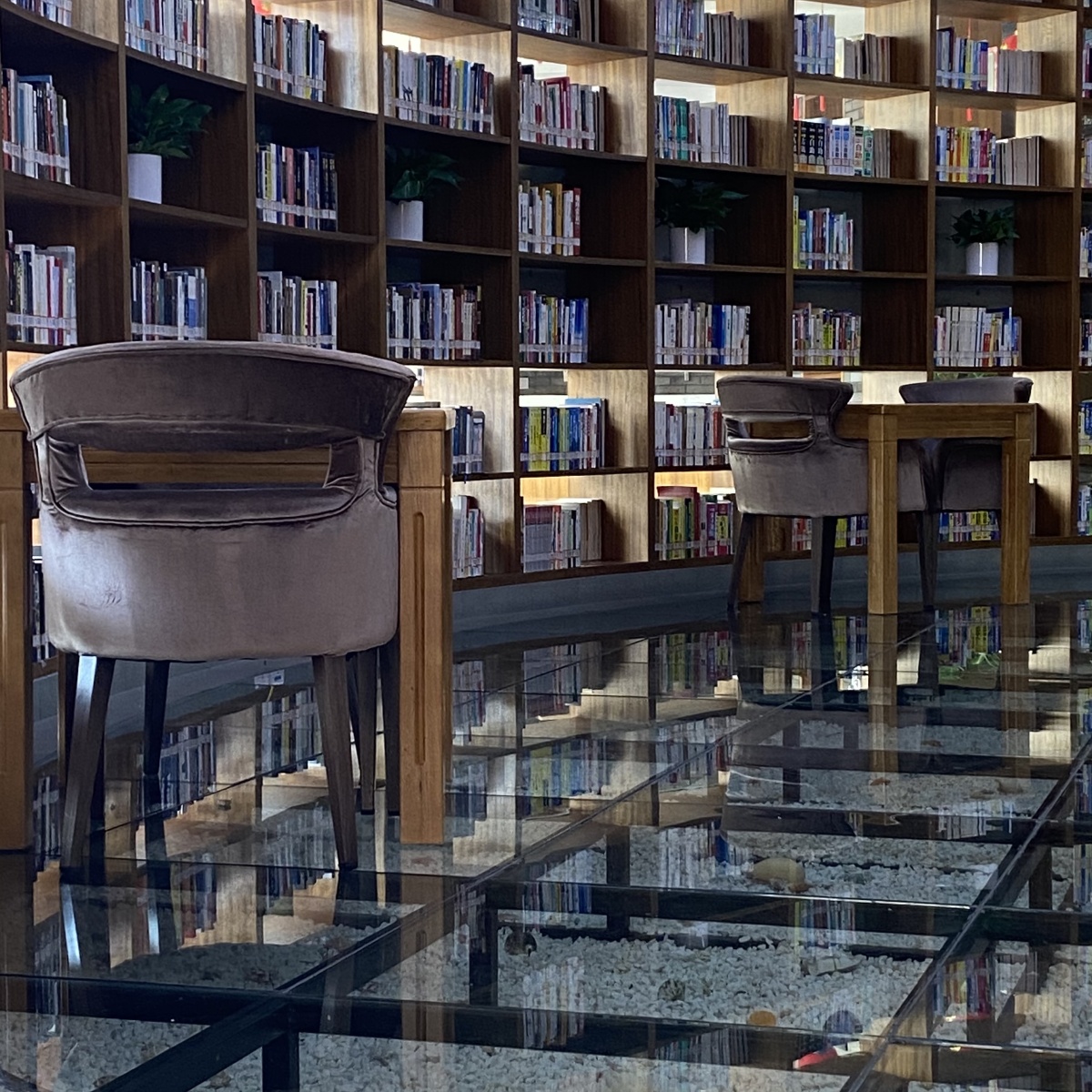 图书馆真是一个安静又神圣的地方