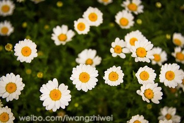 IMG_4207-1x