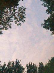 21290D2D-AD3A-4FD9-92C2-D1F101020870/L0/001
