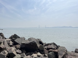 B4F97B31-7DD6-4537-828F-55D991BCD7F3/L0/001