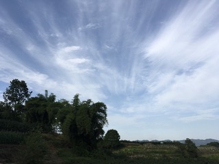 CB1B3AEE-D966-4DFC-8A3D-C779A9278079/L0/001