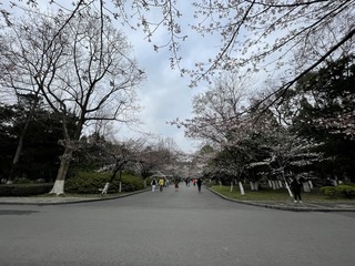 A9AB3DB9-F43B-4B61-B03C-9D9AB58293A0/L0/001