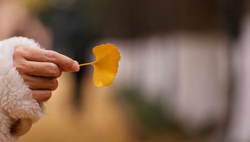 89232