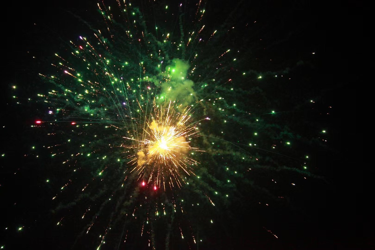 沿途风景优美鲜花盛开蝴蝶03自来烟花灿烂