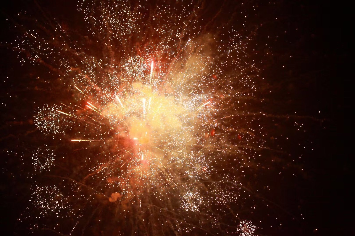 沿途风景优美鲜花盛开蝴蝶03自来烟花灿烂