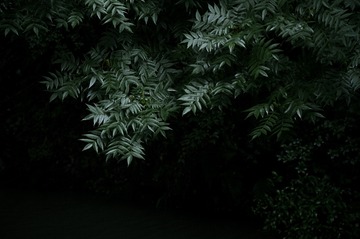 F617012A-6AE9-407D-A88D-081DC316C0A9/L0/001