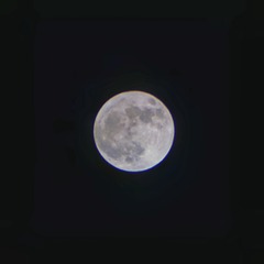 A7783819-EA39-44BB-9BA4-93A174054CEC/L0/001