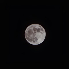 0C287B26-F8F9-483F-B021-396B4004DFC3/L0/001
