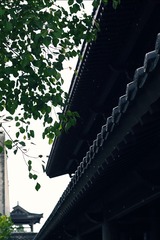 0B34A94C-6581-4FE0-B911-C002E280D515/L0/001