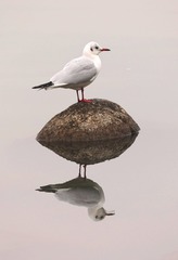369606