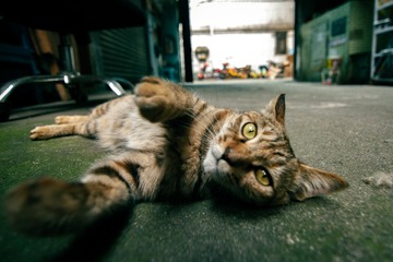 F19C26B1-C541-406F-95EF-87500A7CD657/L0/001