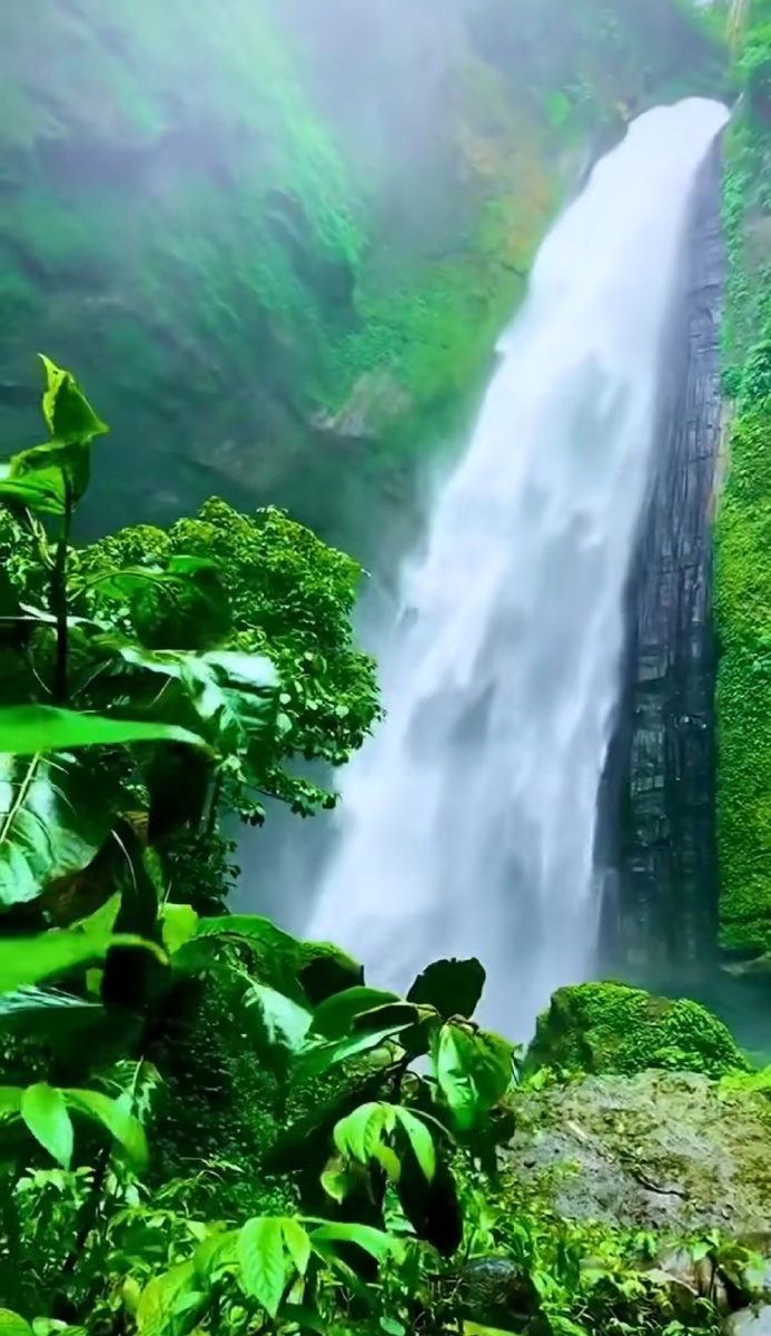 感受大自然的美才知生命可贵愿时光温柔你我静好风景森林瀑布