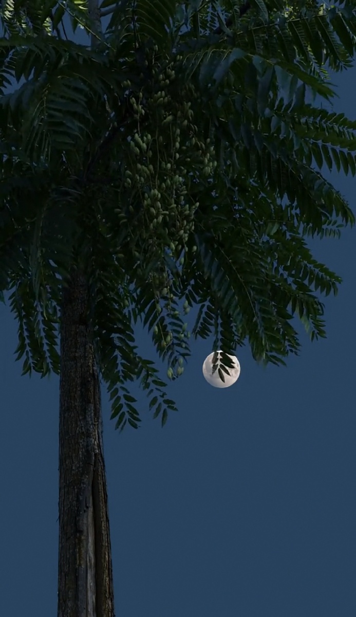 "原来是人都会有执念啊 "治愈系纯风景 "唯美意境