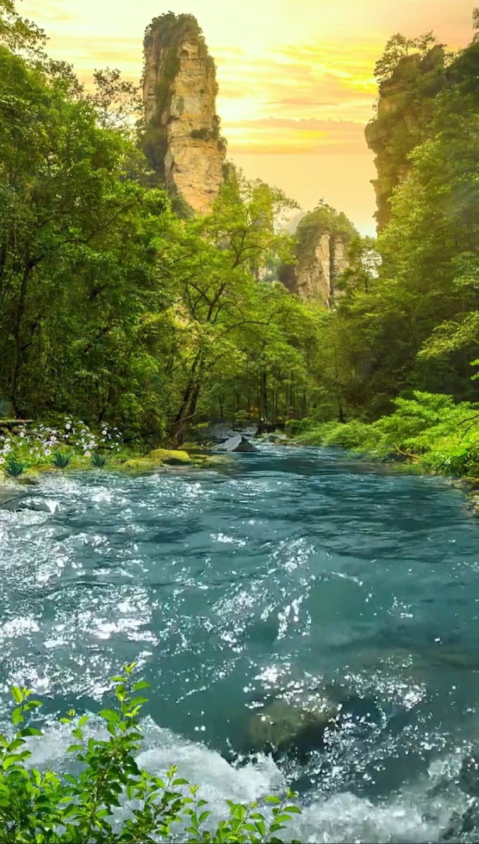 和我一起欣赏林间美景享受这山水间的片刻宁静风景聆听大自然山间小溪