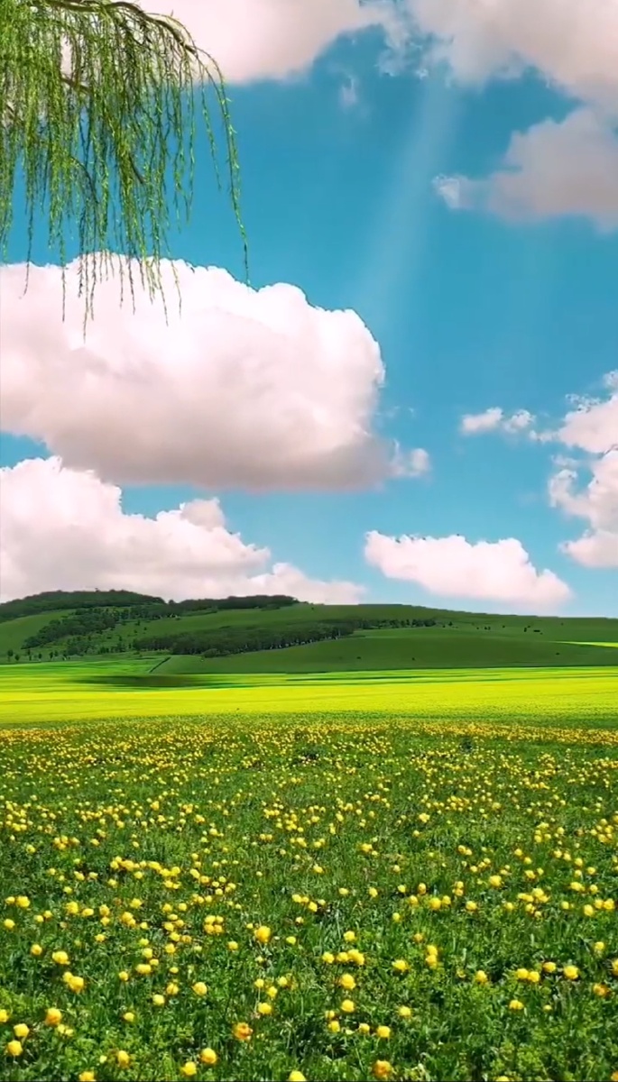 世间万物都在治愈你只有你自己不肯放过自己风景治愈