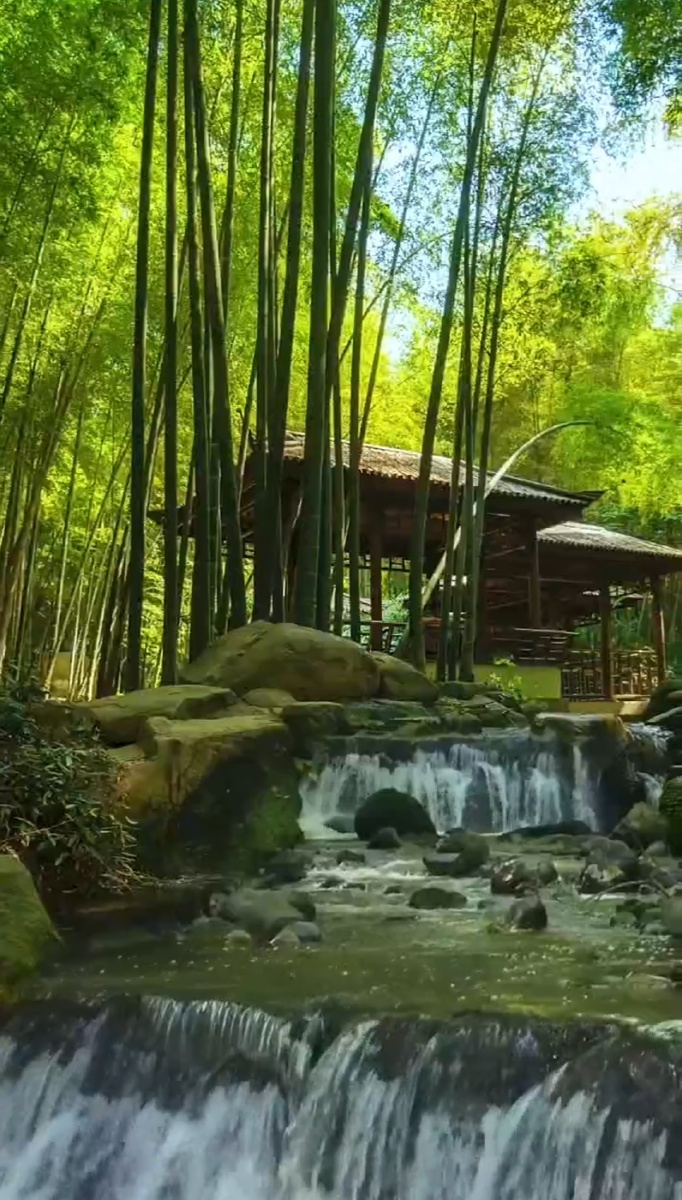 伴山伴水伴竹林人生几何多忧愁只因一时没看清终了无非名与利大自然