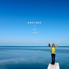 看海的心情