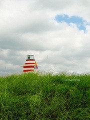 小房子