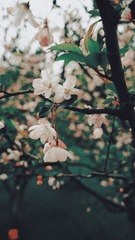 6B47B851-455C-4FB0-9A19-20869C162AEE/L0/001