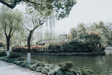DSCF1376