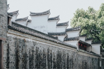 DSCF1366