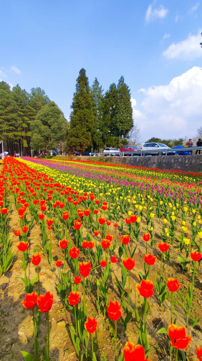 春天的景色包罗万象百花争奇斗艳丛中鸟语花香山青水秀小桥流水人家