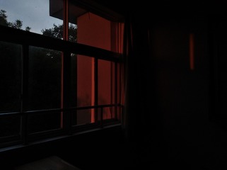 331