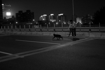对不起，小黑狼犬