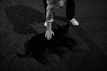 对不起，小黑狼犬