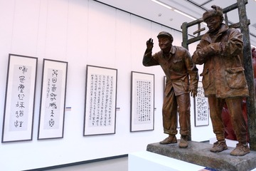 泰然-8
