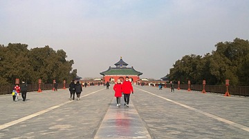 泰然-12