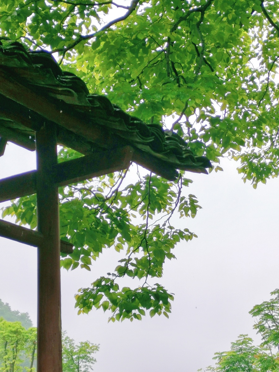 春天下雨的屋檐