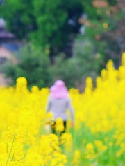 D91C7DA3-B1CD-4617-8CE0-A7BD8CB059FF/L0/001