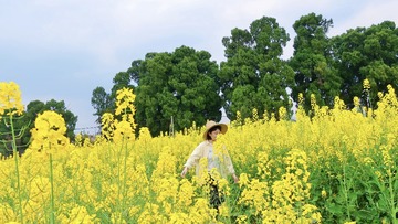 04DB9D77-BB5D-412E-96BB-7D846EF56624/L0/001