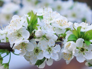 8A807AEB-452B-4F5A-B22C-8F770B0AB171/L0/001
