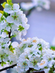 D126C06B-FE69-4D74-9D91-0759528FE9BB/L0/001