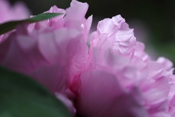 IMG_7954.JPG