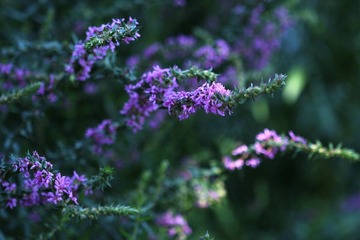 IMG_9034.JPG